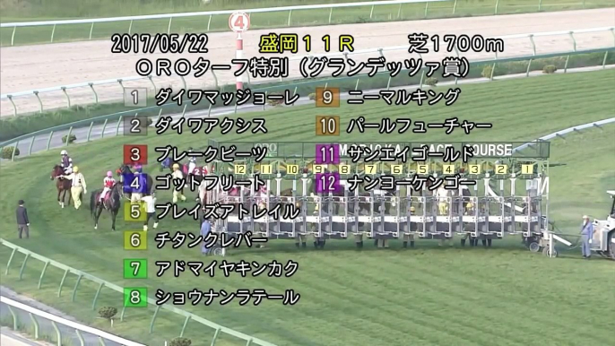 【思いもしなかった結末…】ダイワマッジョーレの悲劇