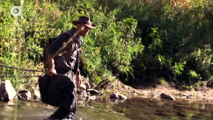 Rainbow Trout Rescue Mission!