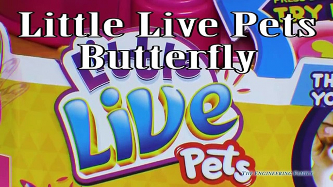 SUPER PRETTY LITTLE LIVE PETS BUTTERFLY HOUSE Cute Star & Rare Wings Butterfly Kinder Surp