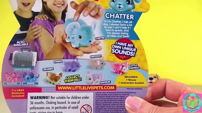 Little Live Pets Lil Mouse Chatter and the Chubby Puppies & Playset Pole Course