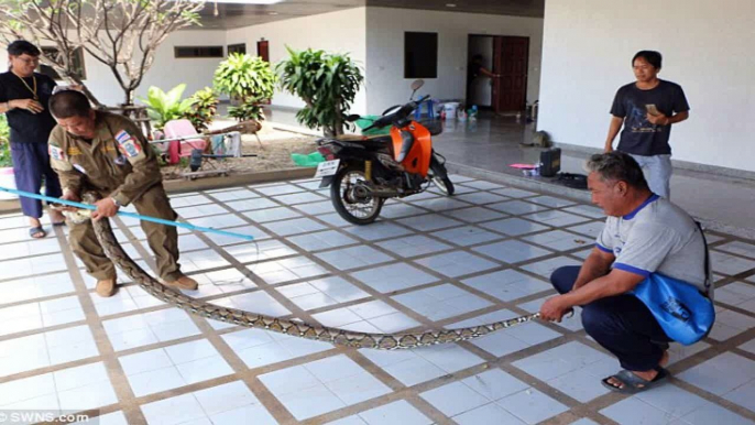 पहले वाशिंग मशीन में मिला अजगर उसके बाद जो हुवा हैरान करदेने वाला था | Python In Washing Machine