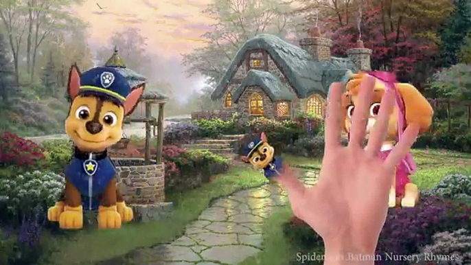 Paw Patrol Finger Family Nursery Rhymes Lyrics