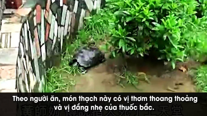 Những đặc sản siêu kinh dị làm nên tên tuổi nền ẩm thực Châu Á