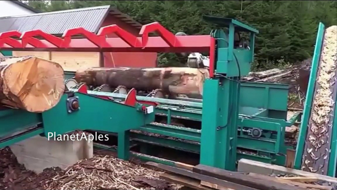 Extreme Modern Wood Cutting Machines Intelligent Equipment Factory Processing Huge Wood - dailymotion