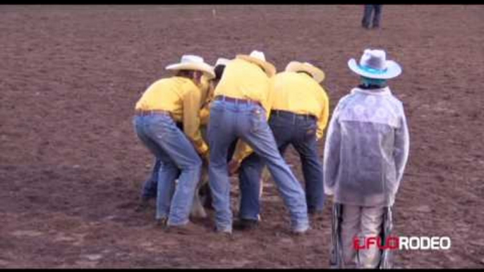 Mutton busting 85 at Pike's Peak or Bust Rodeo