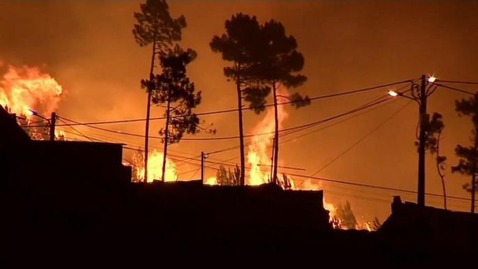 Crianças portuguesas processam Estados por negligência no combate às alterações climáticas