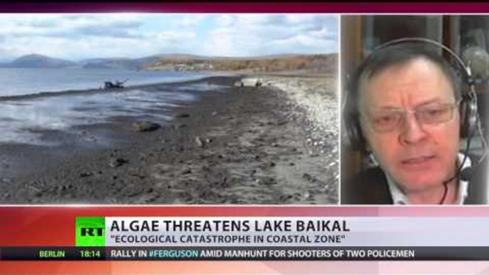 World's deepest lake Baikal suffers alien algae, record water-level drop