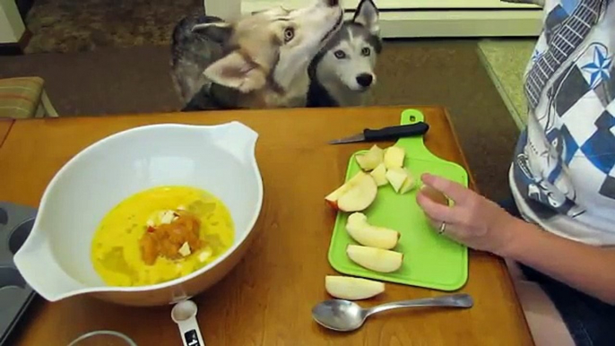 Homemade Dog Treats Pumpkin Apple Pup Cakes Recipe | Snacks with the Snow Dogs 9