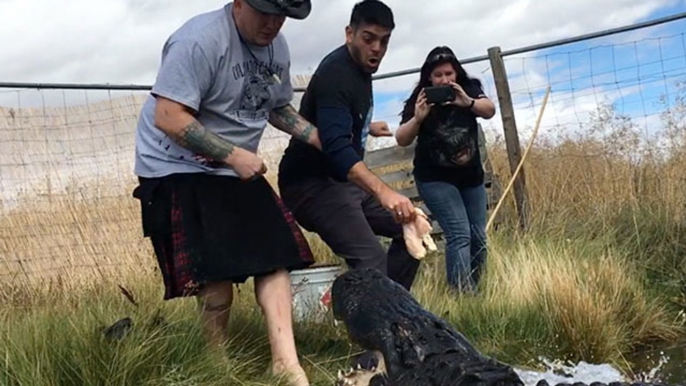 Nick Crosses Off 'Feeding Alligators' From Bucket List