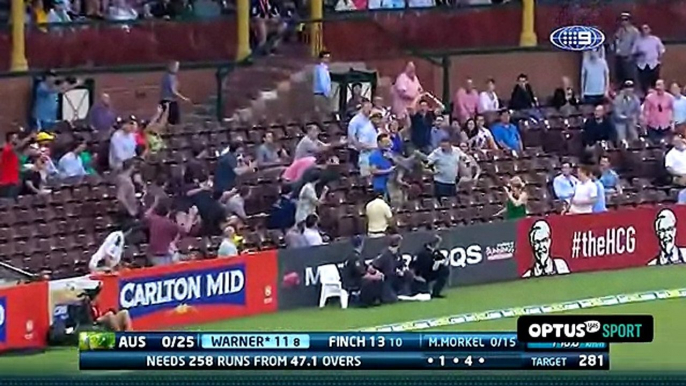 Top 6 Classic Cricket Crowd Catches - By Legend Of Fun