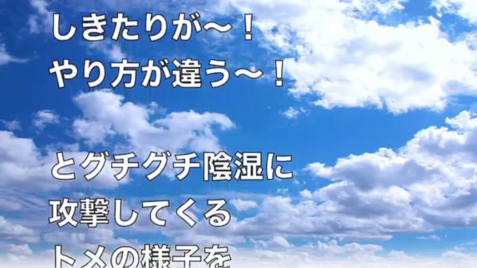 【スカッとする話】《クソトメ》しきたりしきたりやかましい、3歩あるいたら綺麗さっぱり忘れて嫁いびりを繰り返すトメにDQN返しした結果…【スカッとオーバーフロー】