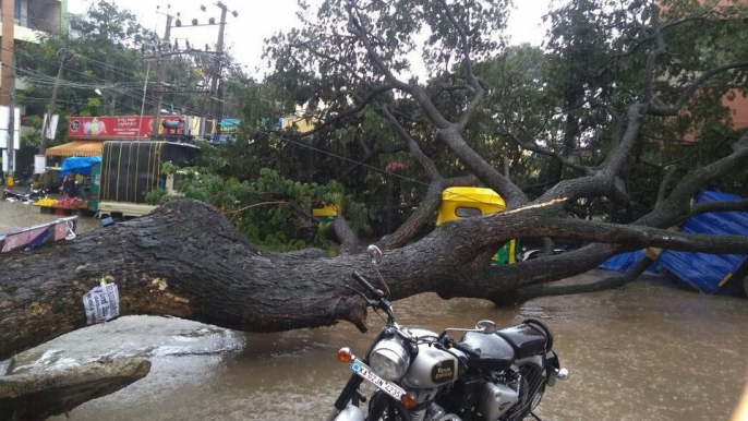 Bengaluru Rain : heavy rains wreak havoc again in Bengaluru and some areas are flooded