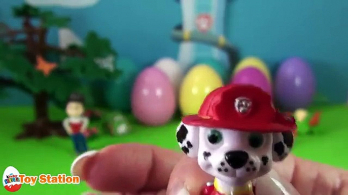 Paw Patrol 12 Surprise Eggs Toy Figures | Ryder Chase Rubble Marshall Zuma Rocky Skye & Vehicles