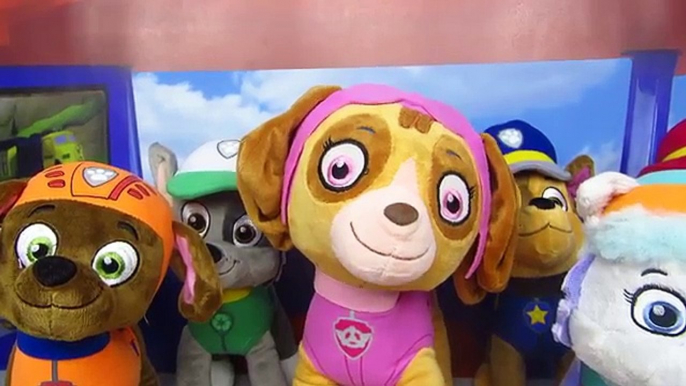 Patrulla canina español y la noche de pedos, mocos y juegos con la cachorro Skye Vídeos Paw Patrol