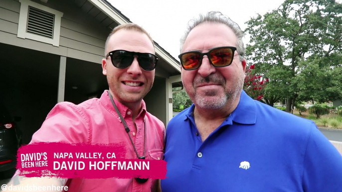 NONSTOP WINE TASTING IN NAPA | Napa Valley, California