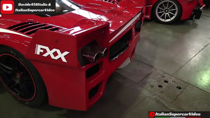 Ferrari FXX Evoluzione and its SCREAMING V12 engine!!! - Motor Show Bologna 20