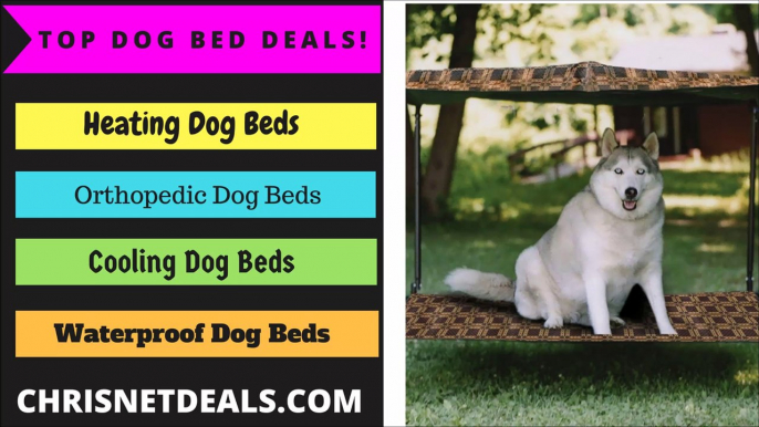 BEST DOG BEDS & TOP DOG BED DEALS AT: ChrisNetDeals.Com