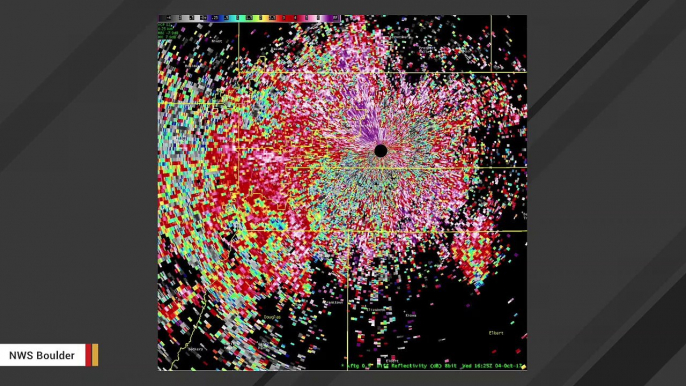 Denver Experiences Butterfly Swarm Large Enough To Show Up On Weather Radar