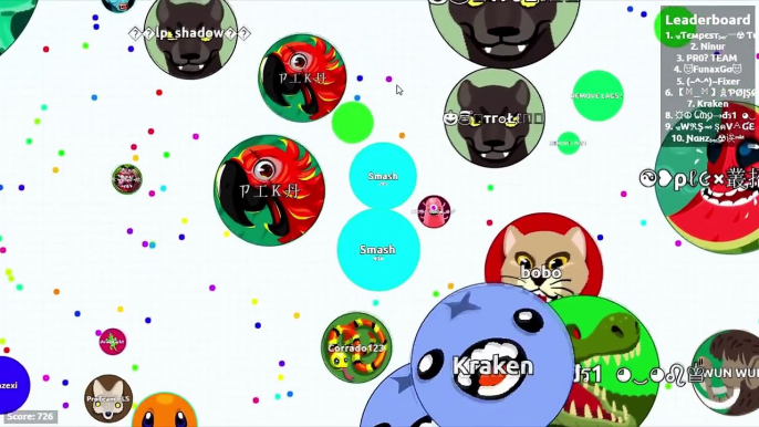 Agar.io 65K Score - DESTROYING TEAMS IN AGARIO | Solo Agar.io Gameplays