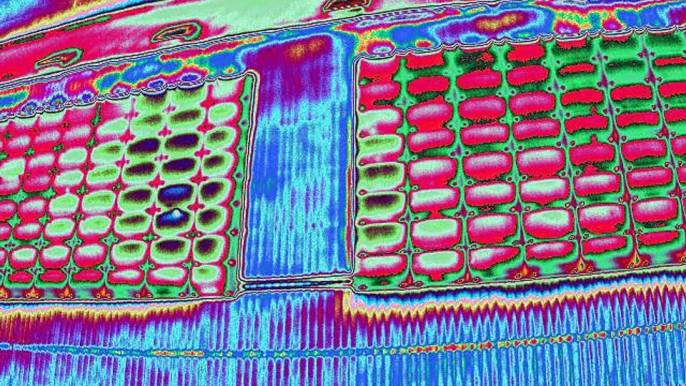 Panneaux solaires filmés par drone en image thermique colorisation