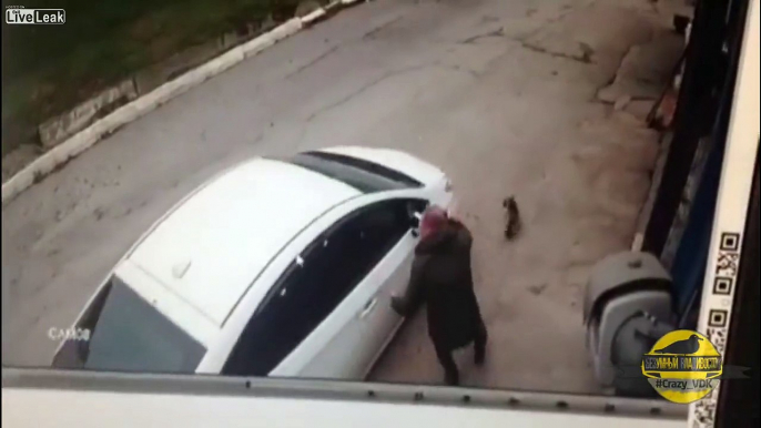 Woman driver deliberately runs over small dog despite the dog owner's pleas