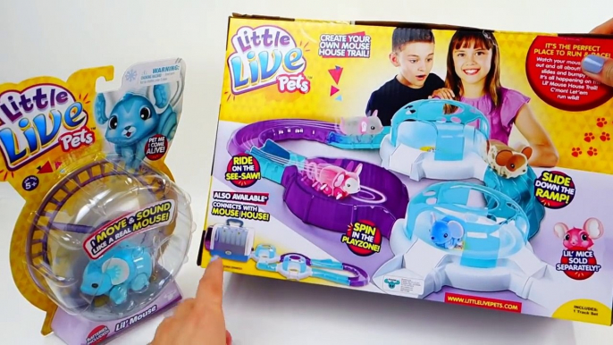 Little Live Pets Mouse and Lil Mouse House Trail | Evies Toy House