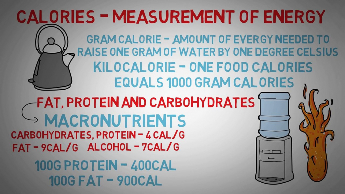 How to Lose Weight by manipulating calories - The best way to burn fat quick!