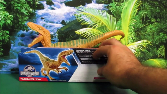 JURASSIC WORLD VELOCIRAPTOR ECHO DINOSAUR WITH INDOMINUS REX UNBOXING, REVIEW BY WD TOYS