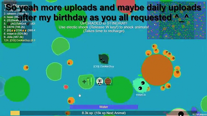 MOPE.IO NEW CHRISTMAS UPDATES | MOPE.IO NEW ANIMALS | MOPE.IO NEW UPDATE (Mope.io)