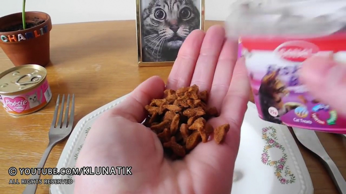 Eating CAT FOOD!!! Kluna Tik Dinner #58 _ ASMR eating sounds no talk klunatik-DsaPqI22mf8