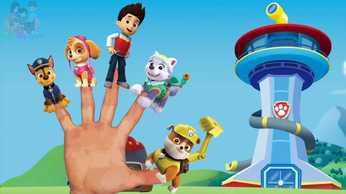 Paw Patrol Finger Family Nursery Rhyme Song Dora Surprise Eggs Mickey Mouse Learn A Word