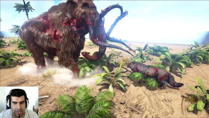 ARK Survival Evolved Mammoth VS Direwolf Batalla dinosaurios arena en español