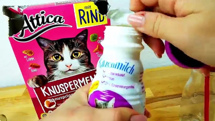 Eating CAT FOOD!!! Kluna Tik Dinner #58 | ASMR eating sounds no talk klunatik