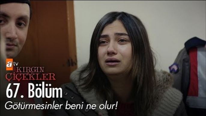 Götürmesinler beni ne olur! - Kırgın Çiçekler 67. Bölüm - atv