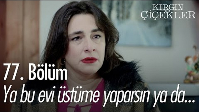 Ya bu evi üstüme yaparsın ya da... - Kırgın Çiçekler 77. Bölüm - atv