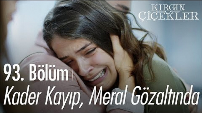 Kader kayıp, Meral gözaltında! - Kırgın Çiçekler 93. Bölüm