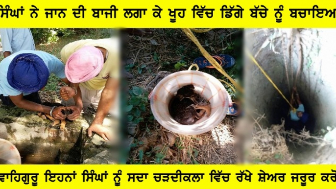 Sikh Brothers Saved Street Dog Who Was In A Well