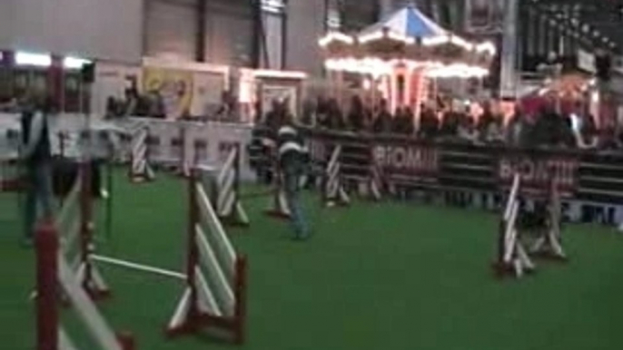 Palexpo agility 11.11.07 Kherwyn_1