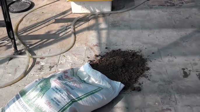 How to Use Cow Dung for Plants | How to Make Organic Fertilizer | September 2016 (Urdu/hindi)