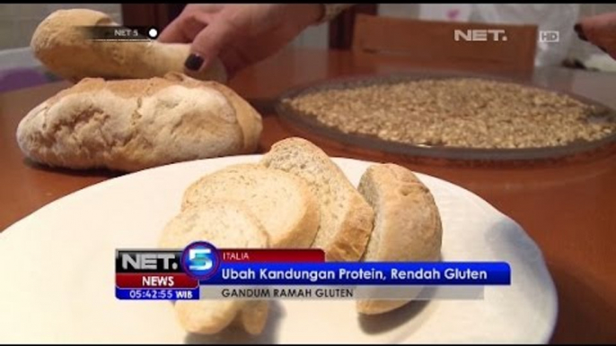 Peneliti Italia Temukan Gandum Ramah Gluten -NET5