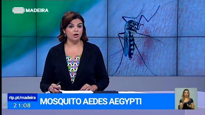 Mosquito Aedes Aegypti ativo no Funchal até a 2ª semana de Dezembro