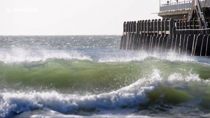 UK surfers make the most of swell from Storm Brian