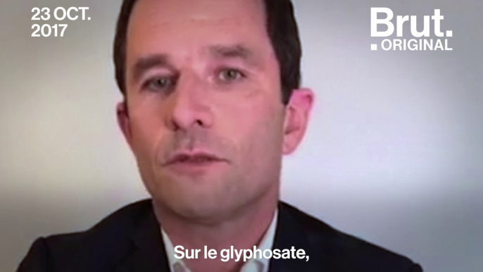 Benoît Hamon : "Emmanuel Macron est le président des lobbies"