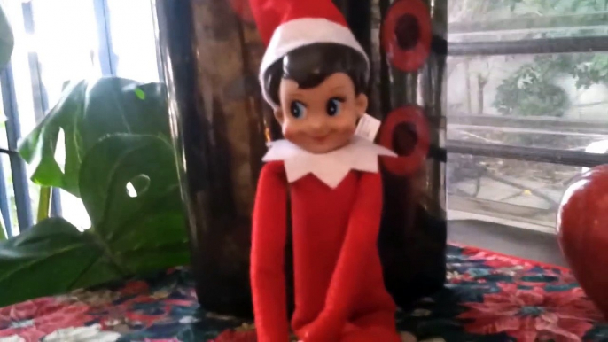 Elf On a Shelf Caught on MOVING on Camera *REAL* (Elf On Shelf Compilation) Elf on shelf moving