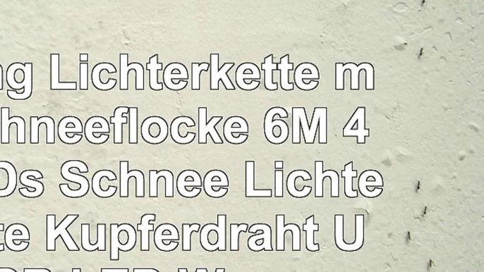 YMing Lichterkette mit Schneeflocke 6M 40 LEDs Schnee Lichterkette Kupferdraht USB LED