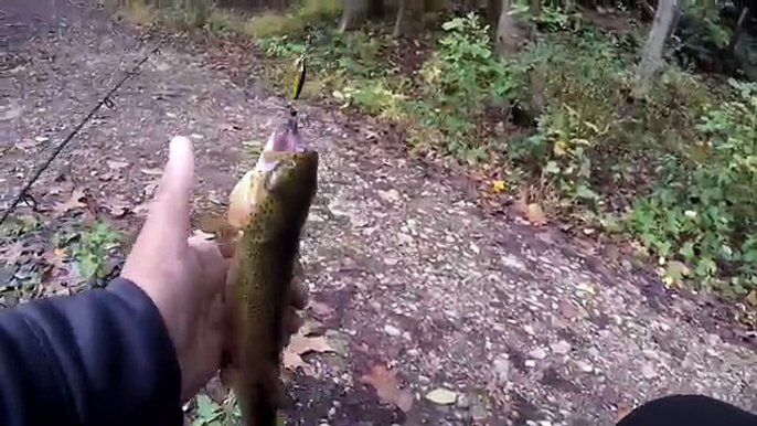 Fishing w/ my SUBS JOHNSON! Are the Trout ADAPTING?! (Give-Away Included) (Philadelphia, PA)