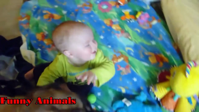 Mastiff Dogs Playing And Protecting Babies Videos Compilation 2016 - Funny Dogs and Babies