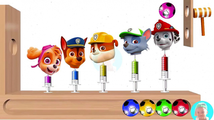 Learn Colors with PAW PATROL Baby WOODEN FACE HAMMER XYLOPHONE Soccer Balls to Kids Needles Shot Car