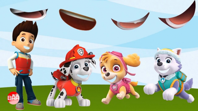 Wrong Mouth paw patrol - Skye, Everest, Marshall, Ryder - Kids Learning Videos