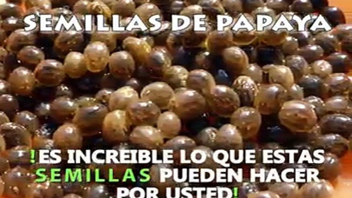 Propiedades de las semillas de Papaya